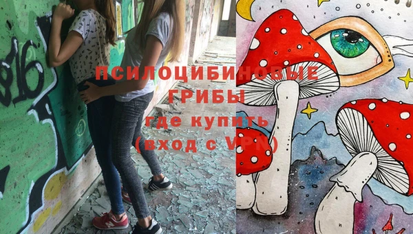 марки lsd Алапаевск